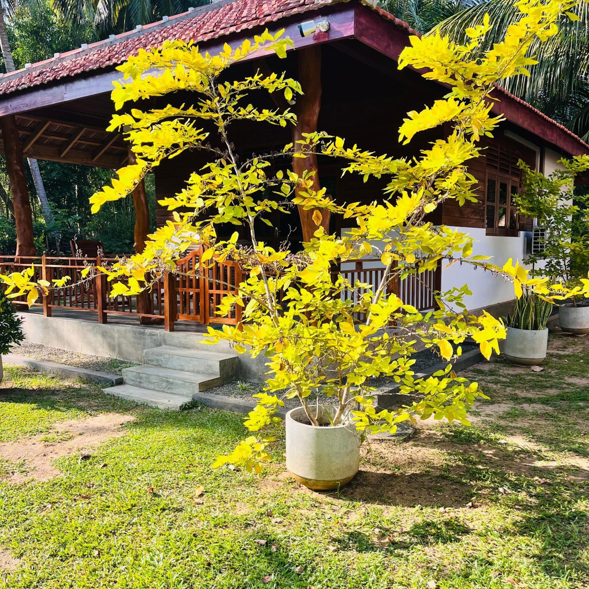 Hanguk Lanka Lagoon Villa Tangalle Exterior foto